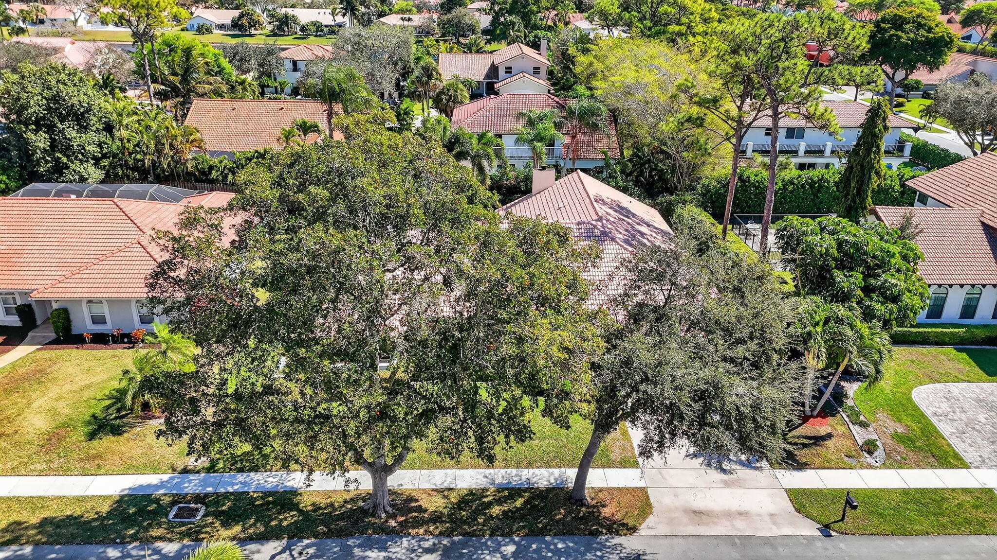 New Floresta - Residential