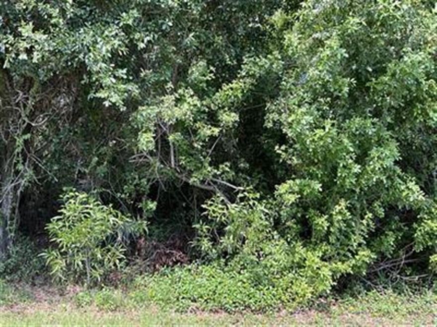 Beautiful Oversized .34 Lot East of US-1. Build your Dream home on this Gorgeous Oversized Corner Lot! Lots of Room for a Pool for your family. Close to Hospital, Shopping, Beaches & Green River Pkwy.
Beautiful lot is ready for your custom home. This generously sized property is located in a quiet, established neighborhood, offering plenty of space for outdoor living, landscaping or whatever your heart desires! Enjoy the peace and privacy of a residential setting. Close to highly rated schools, parks, and community amenities, this lot is perfect for a modest or large family or anyone looking to enjoy the relaxed PSL lifestyle. Don't miss this rare opportunity to design your dream home.