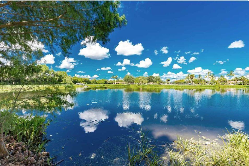 CONDOS AT COURTNEY PARK - Residential Lease