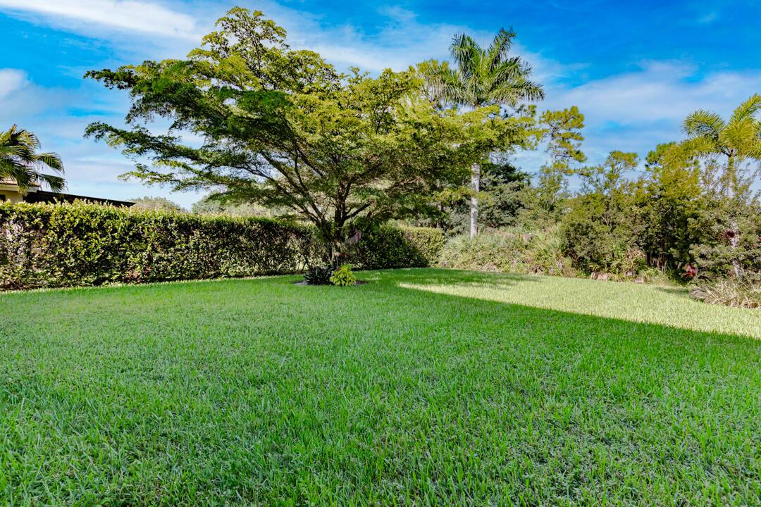 HAMMOCK CREEK - Residential