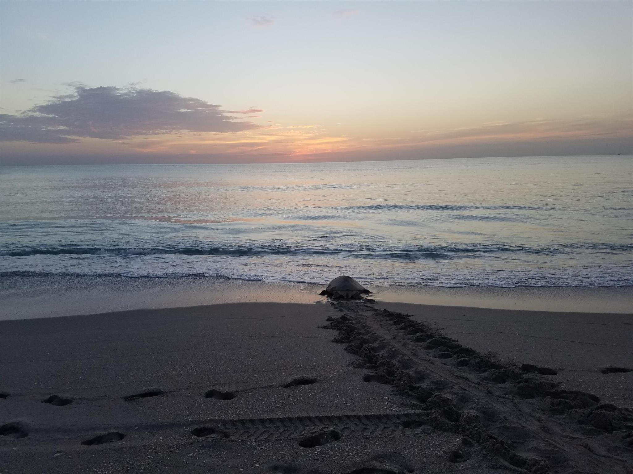 SEA BROOK PLACE CONDO - Residential Lease