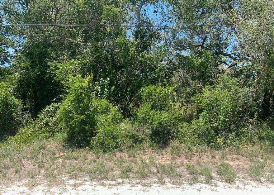 Owner Financing Available with only $1,500 down
Avon Park building lot with power already on the road. Great neighbors and a quiet street.