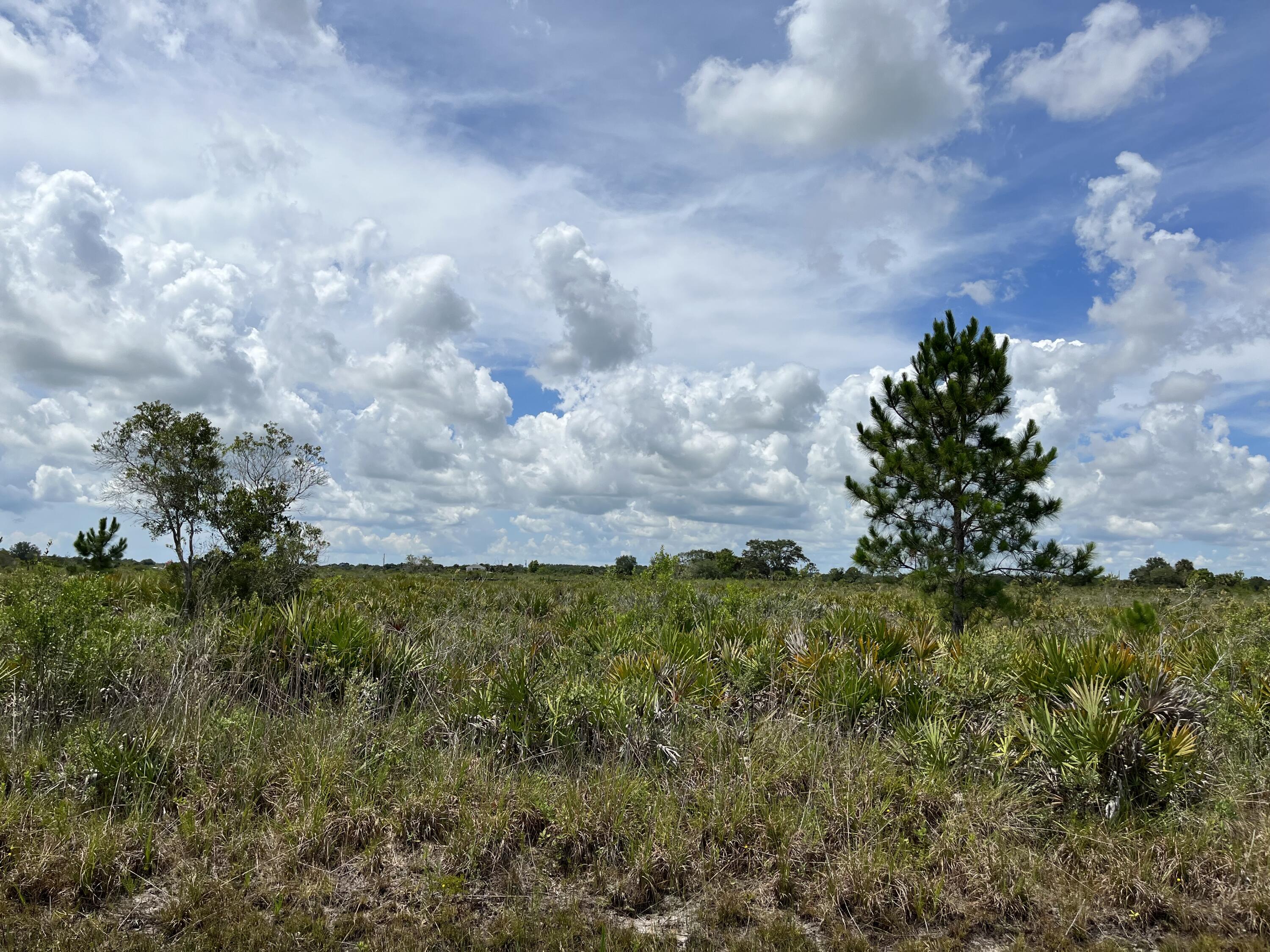 Build or bring your dream home and barn on this beautiful and private high and dry 1.25 acre just off of the main paved road but yet still private. with Power poles on this street So much to enjoy in Okeechobee County. Come to The Kissimmee River Preserve State Park West of this area as well is the Kissimmee River. The Kissimmee River flows into Lake Okeechobee and is well known for some of the best fishing. whether you like Fishing, hunting, mudding agriculture or just privacy here you have it all.