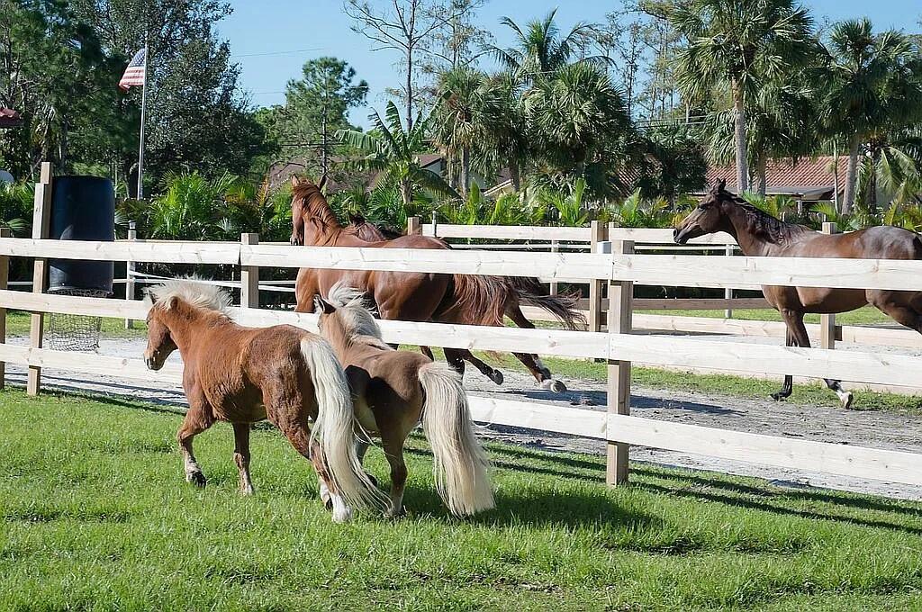 PINE TREE ESTATES - Residential