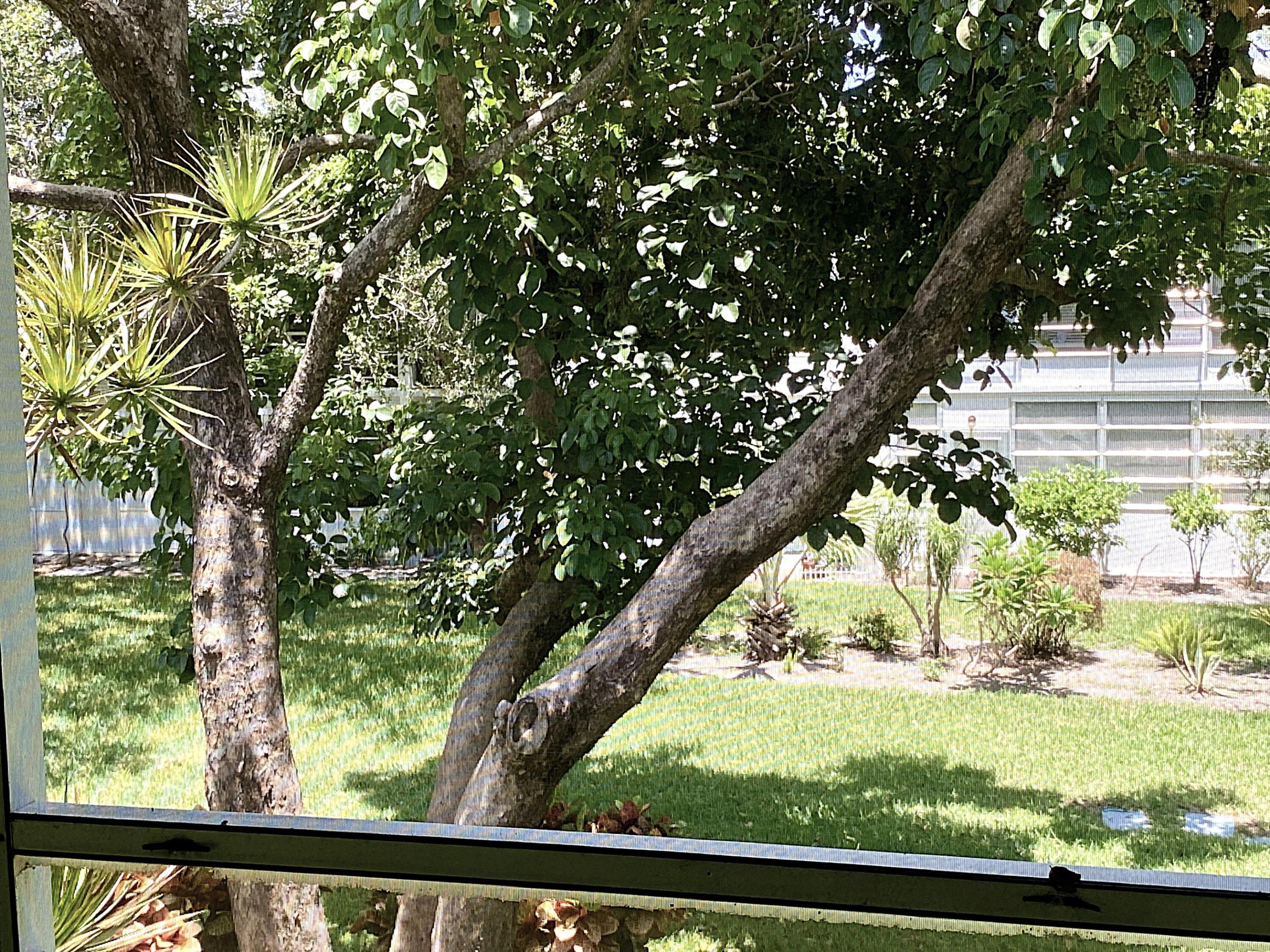 Century Village - Residential