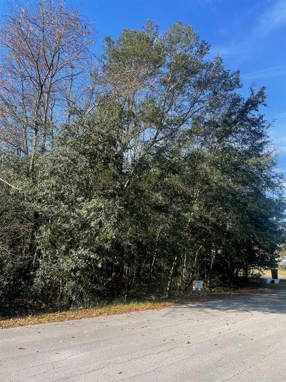 Ideal lot to build your DREAM HOME! Situated in a residential neighborhood surrounded by houses and nearby shopping centers. Near Downtown Ocala and major highways. .24 Acre Lot ready. Situated among new and existing construction, residential only. PRICE NEGOTIABLE. WILL CONSIDER ALL OFFERS.