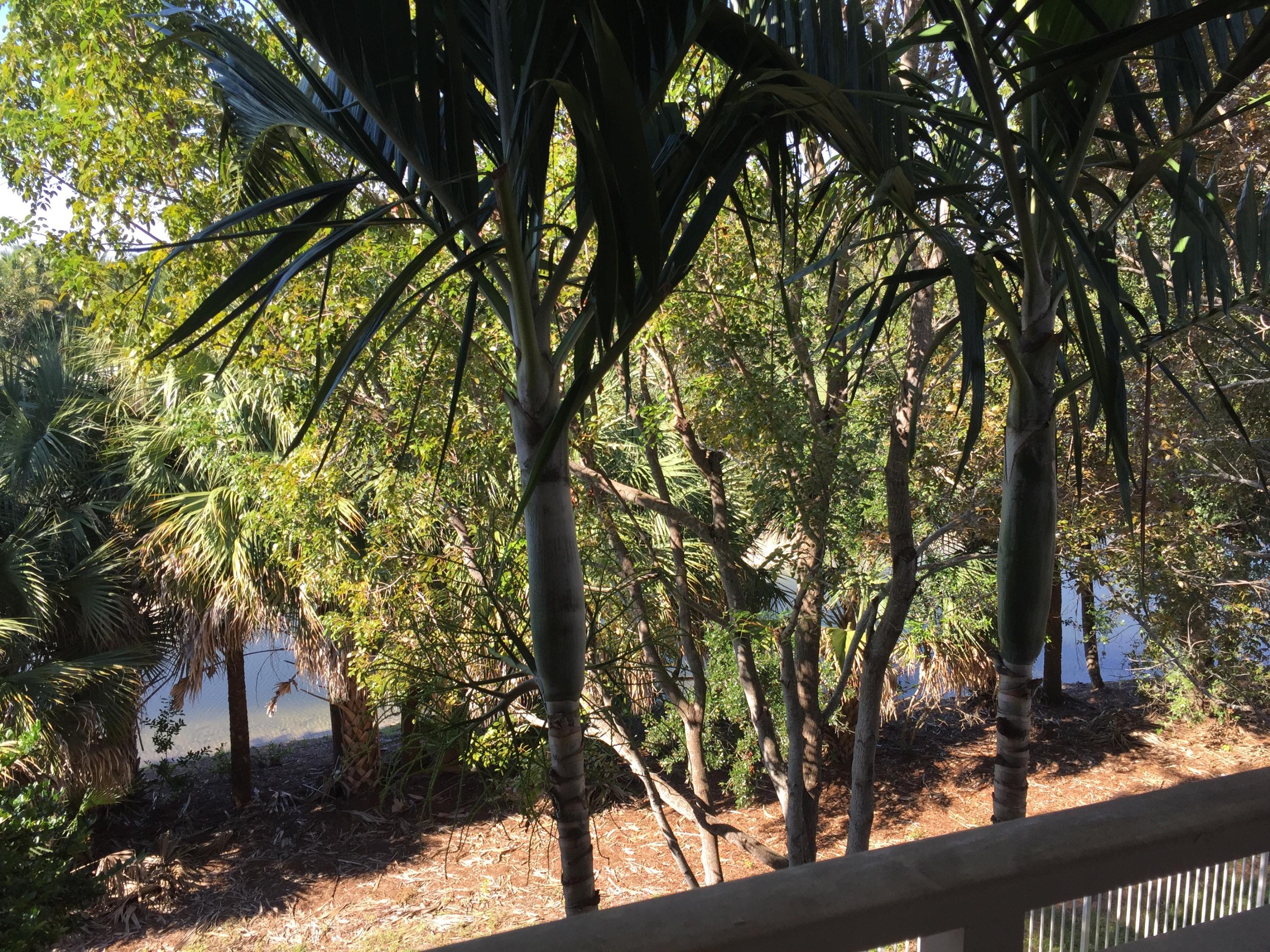 VILLAS AT EMERALD DUNES CONDO - Residential Lease