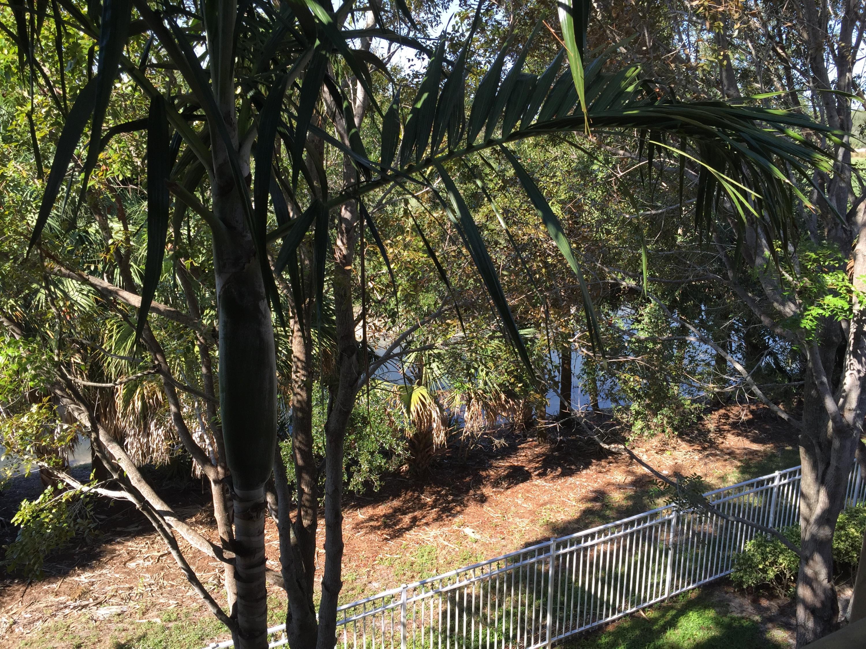 VILLAS AT EMERALD DUNES CONDO - Residential Lease