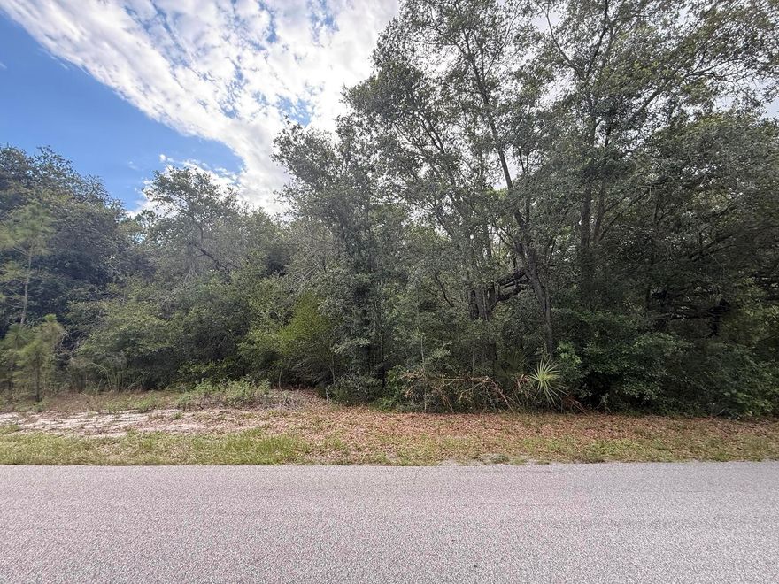 Build your dream house on this beautiful oversized 0.72 acre lot in desirable Leisure Lakes with No HOA. Electric nearby. Canal to Lake June is only a few blocks away. Minutes from shopping, doctors office, and restaurants. This lot presents an opportunity for builders, investors first-time buyers to construct or long-term investment for future. Centrally located to both coasts and only a short drive to schools shopping centers, and recreational facilities, enhancing its appeal. Buying Land in Florida is a solid investment for your future profit. This property is being sold with 1011 Oriole St