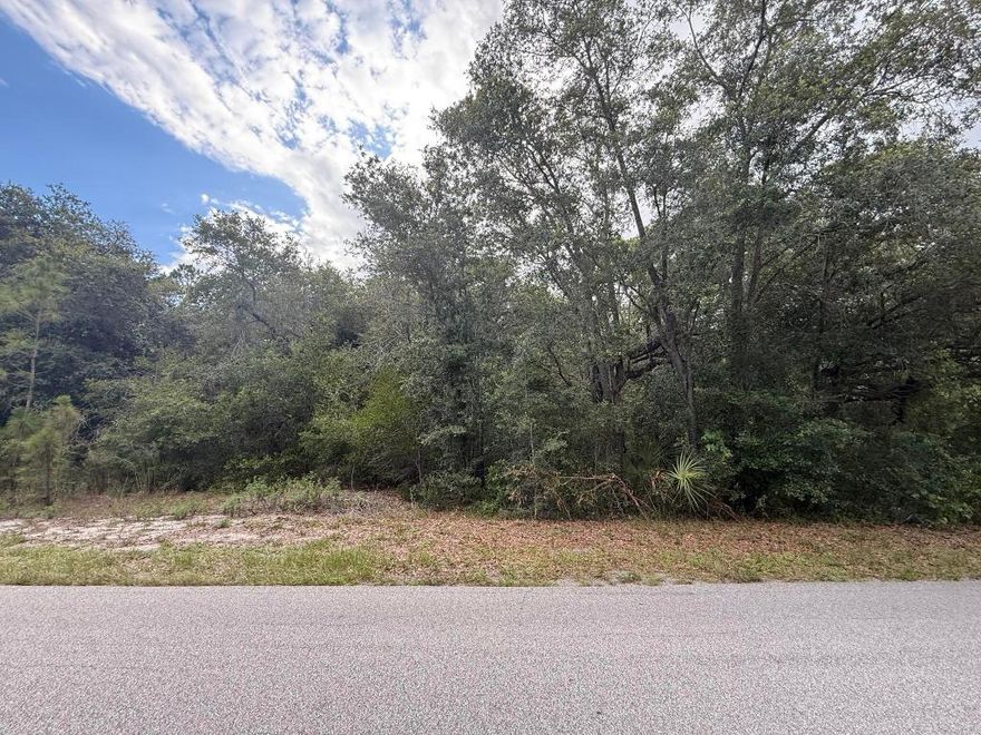 Build your dream house on this beautiful oversized 0.72 acre lot in desirable Leisure Lakes with No HOA. Electric nearby. Canal to Lake June is only a few blocks away. Minutes from shopping, doctors office, and restaurants. This lot presents an opportunity for builders, investors first-time buyers to construct or long-term investment for future. Centrally located to both coasts and only a short drive to schools shopping centers, and recreational facilities, enhancing its appeal. Buying Land in Florida is a solid investment for your future profit. This property is being sold with 1011 Oriole St