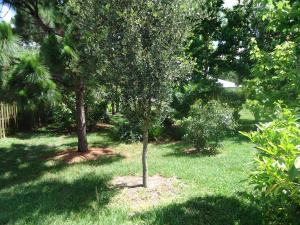 Torino - Residential