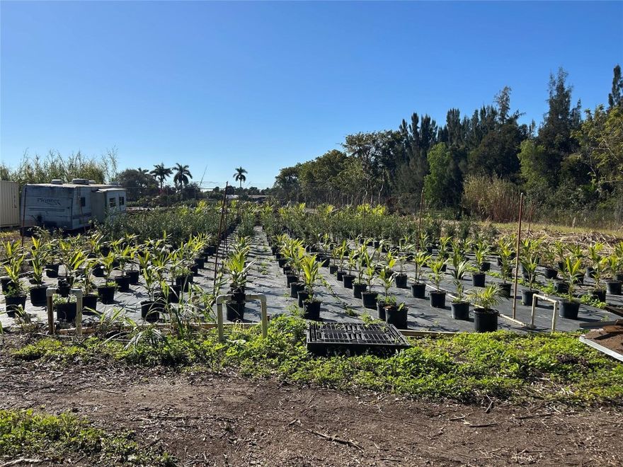 MIXED USE PROPERTY FOR LEASE. HIGH AND DRY. PLANTS CAN BE REMOVED. WATER AND ELECTRIC CAPABILITIES AVAILABLE.