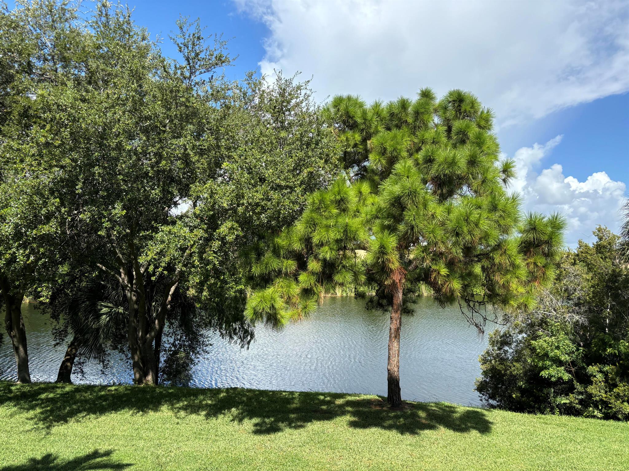 TIERRA VERDE AT DELRAY BE - Residential Lease