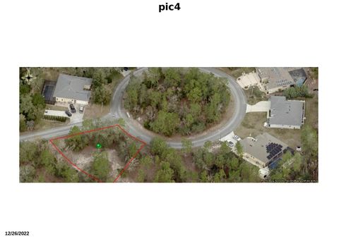 3 Hackberry Court N Homosassa FL 34446