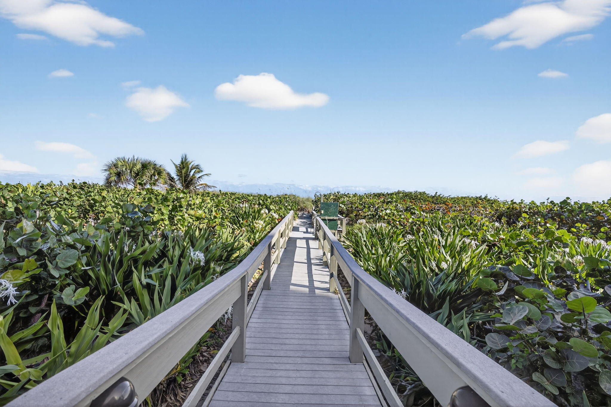 OCEANTREE CONDO - Residential Lease