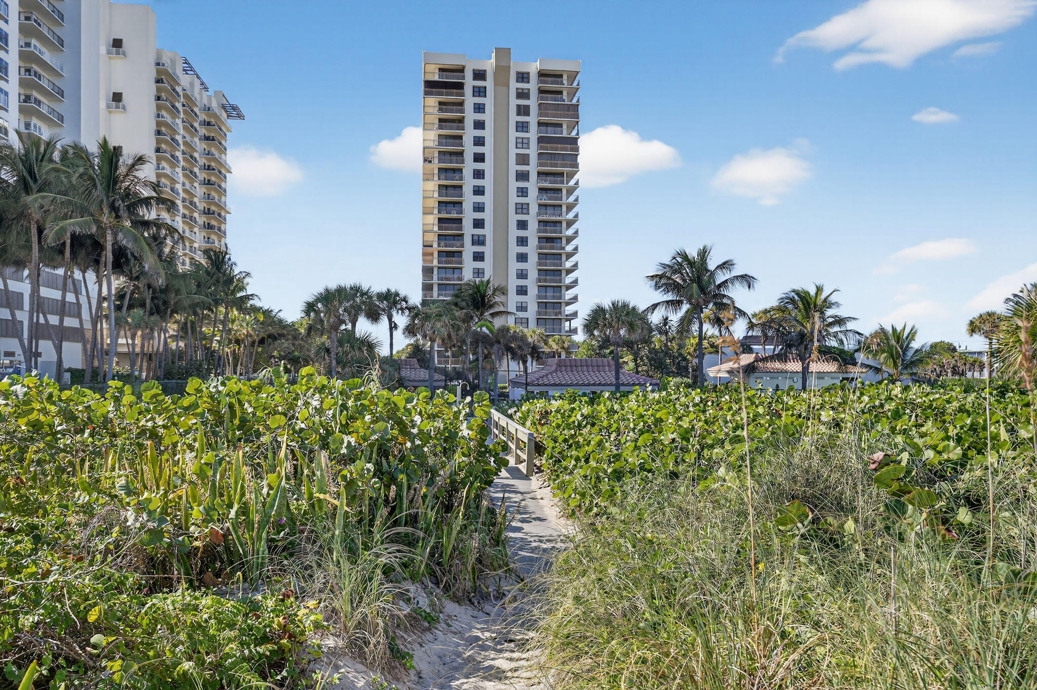 OCEANTREE CONDO - Residential Lease