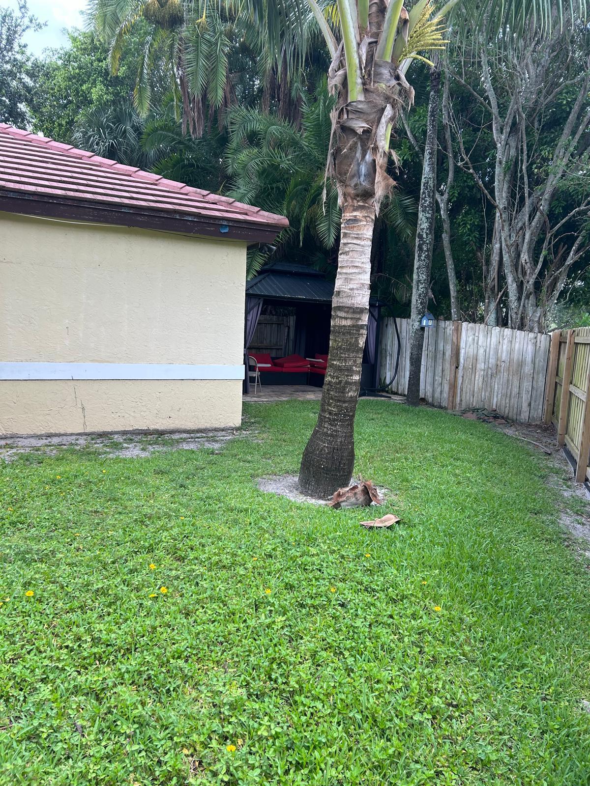 WELLINGTON DOWNS - Residential