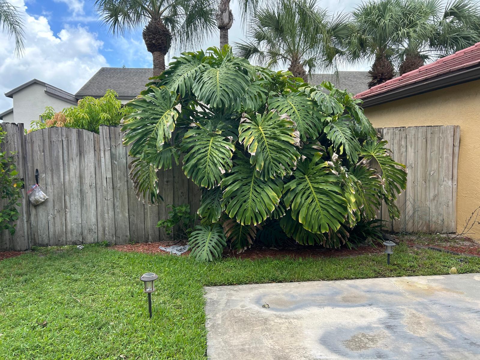 WELLINGTON DOWNS - Residential