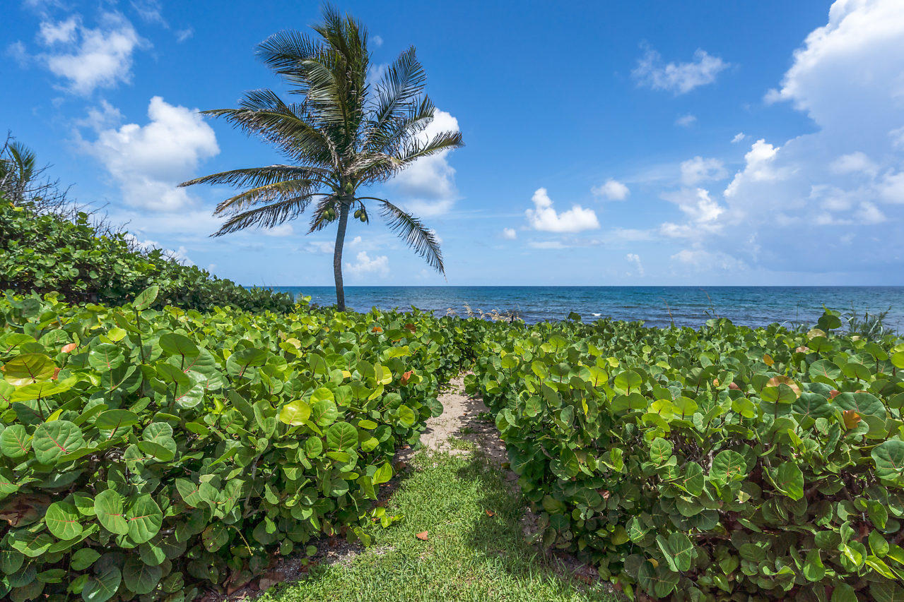 GULFSTREAM OCEAN TRS - Residential