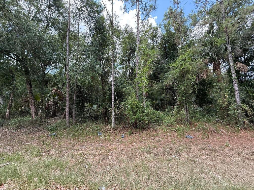 PORT CHARLOTTE SEC 57 - Land