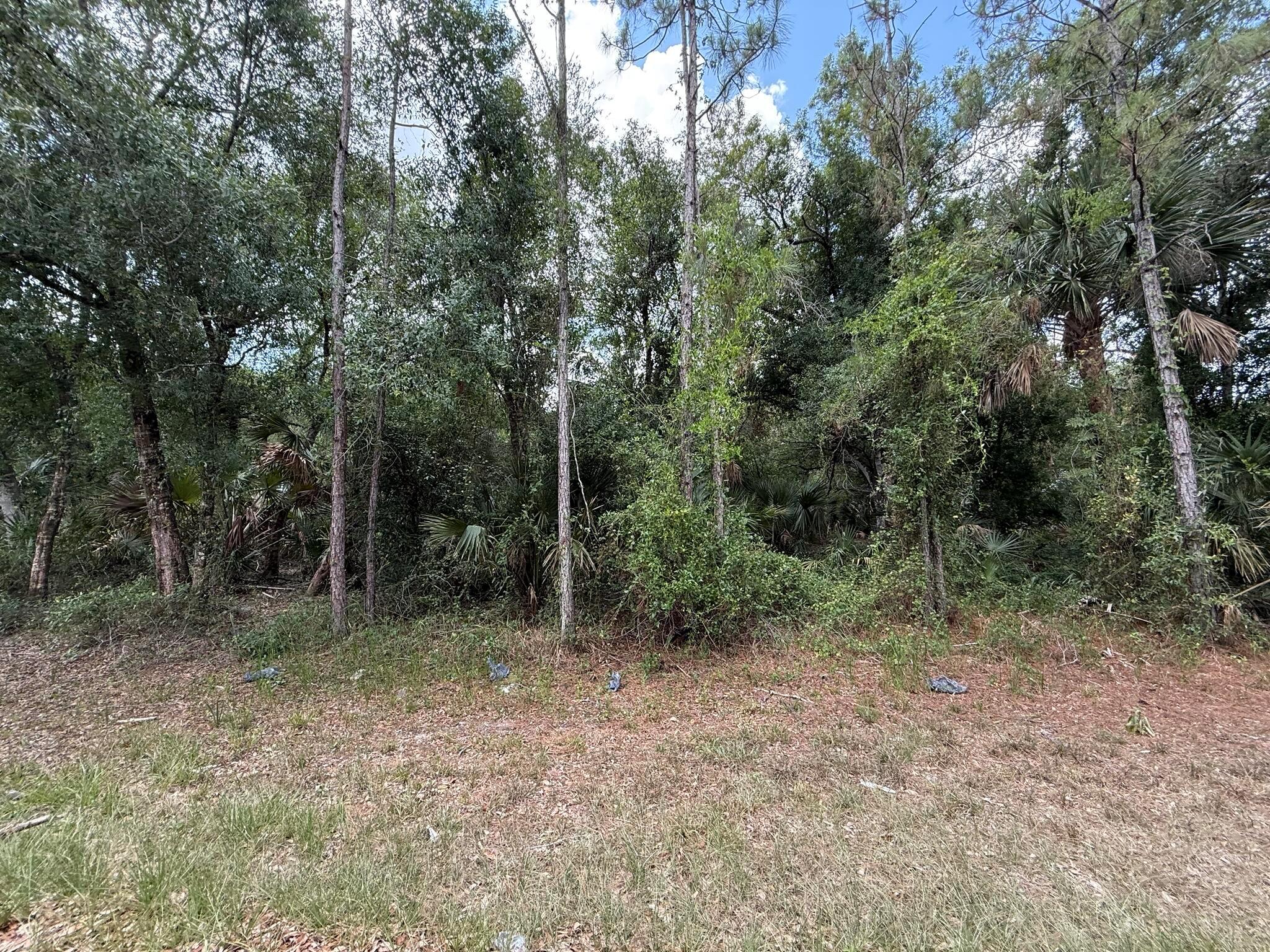 PORT CHARLOTTE SEC 57 - Land