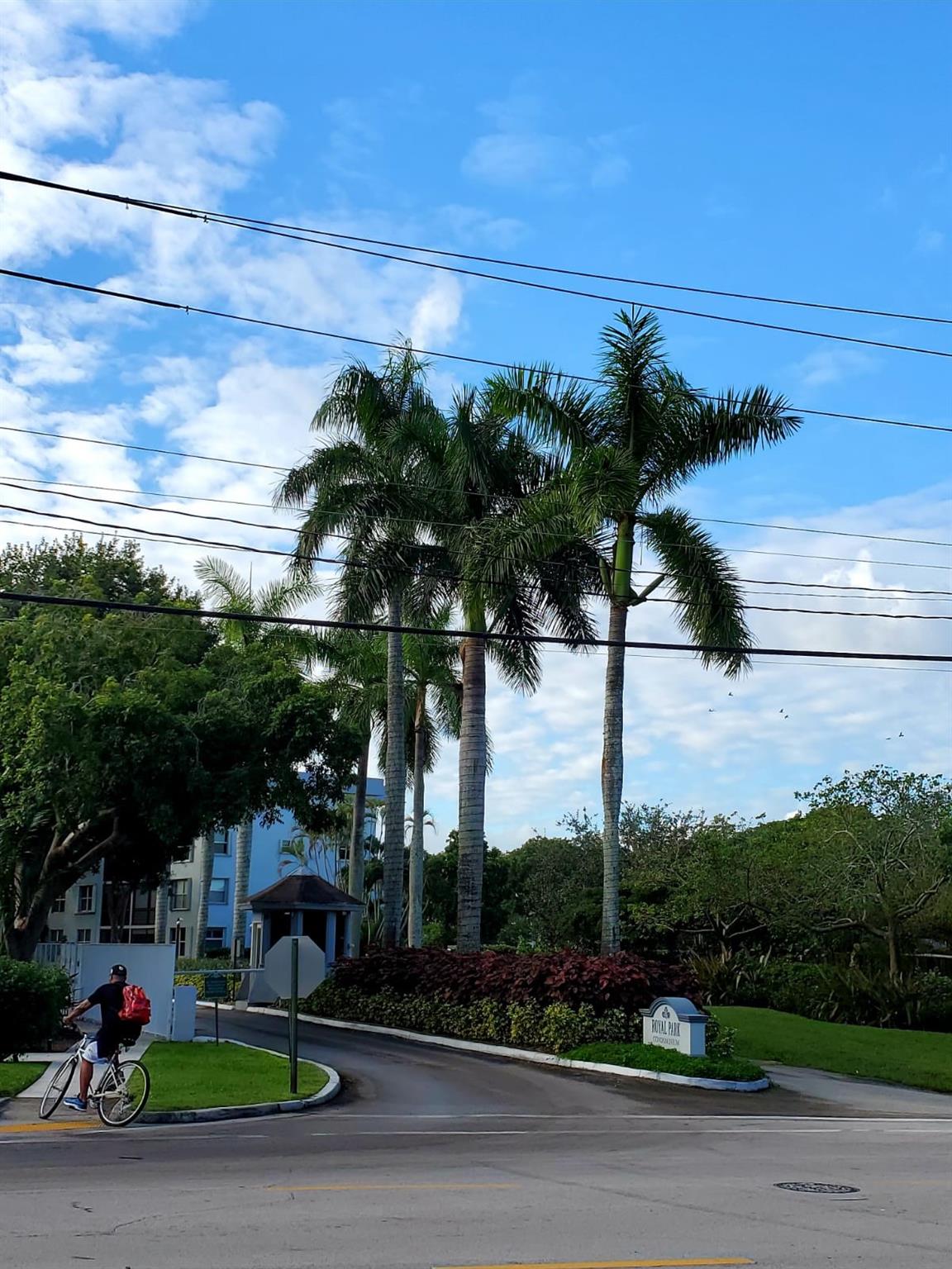 Royal Park Condo - Residential Lease