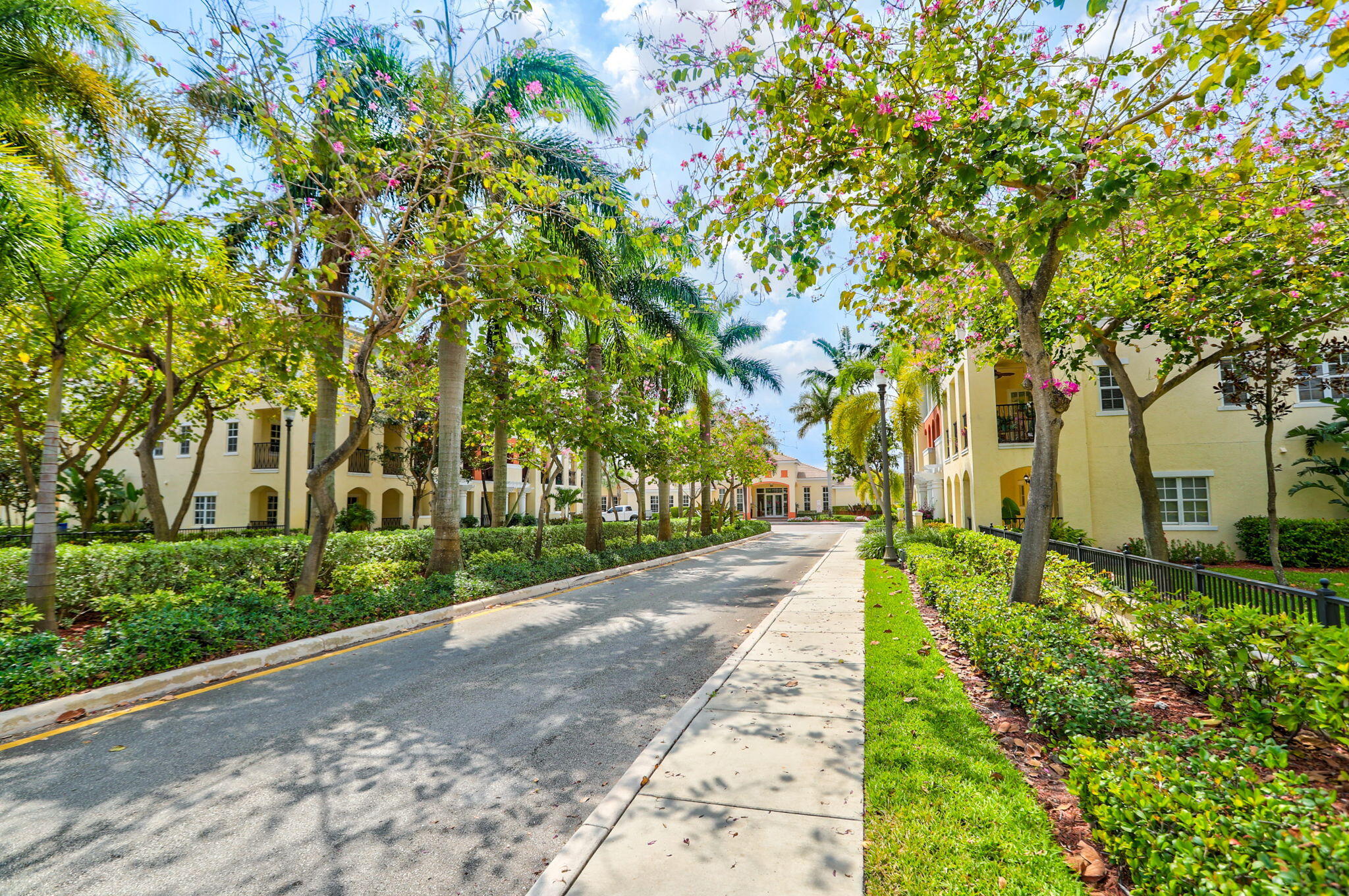 CYPRESS GROVE - Residential