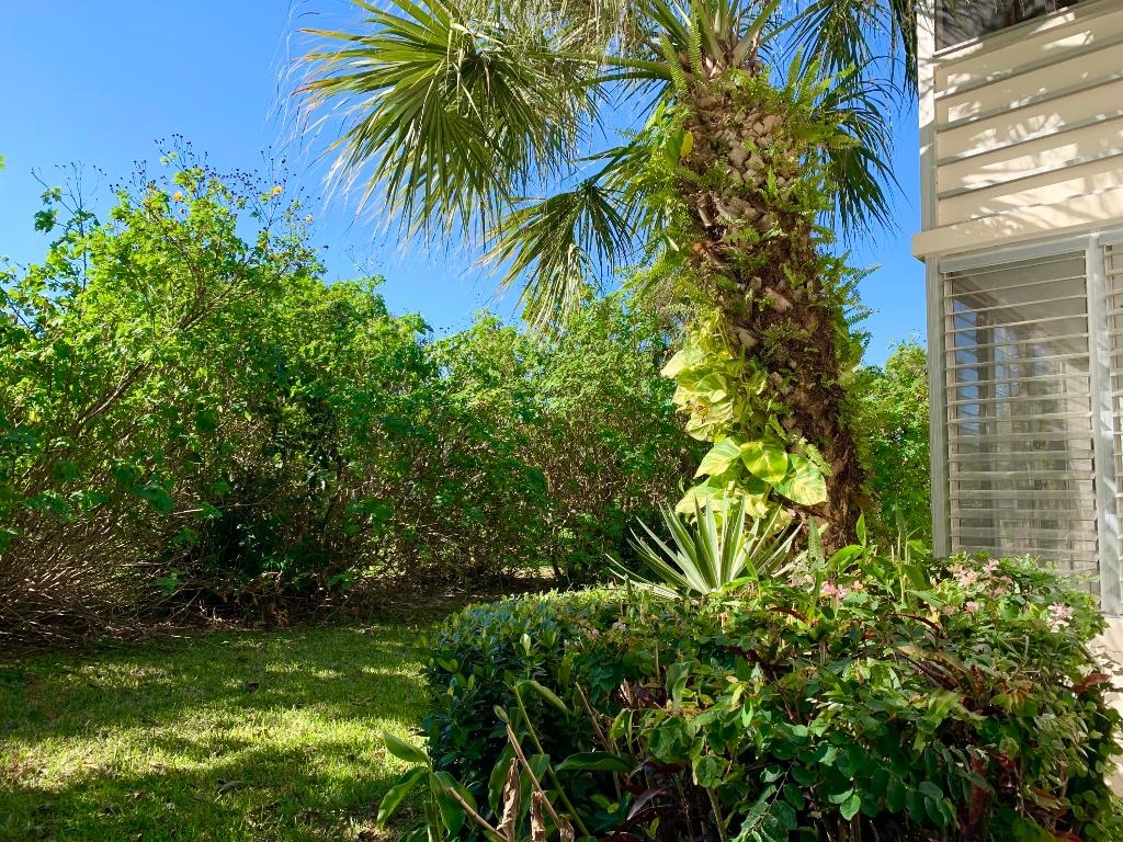 CENTURY VILLAGE - Residential Lease