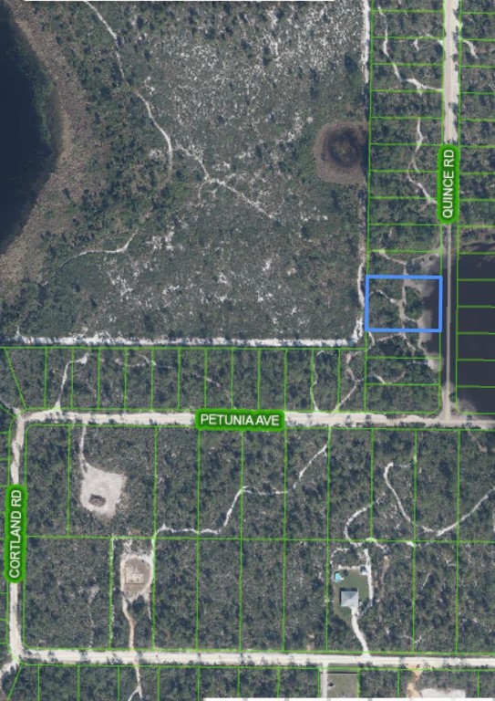 ORANGE BLOSSOM EST UNIT 0 - Land