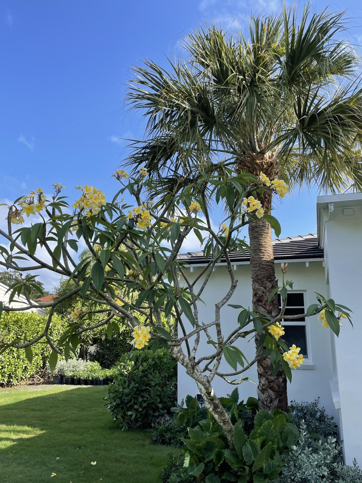 Sidewalks - Residential