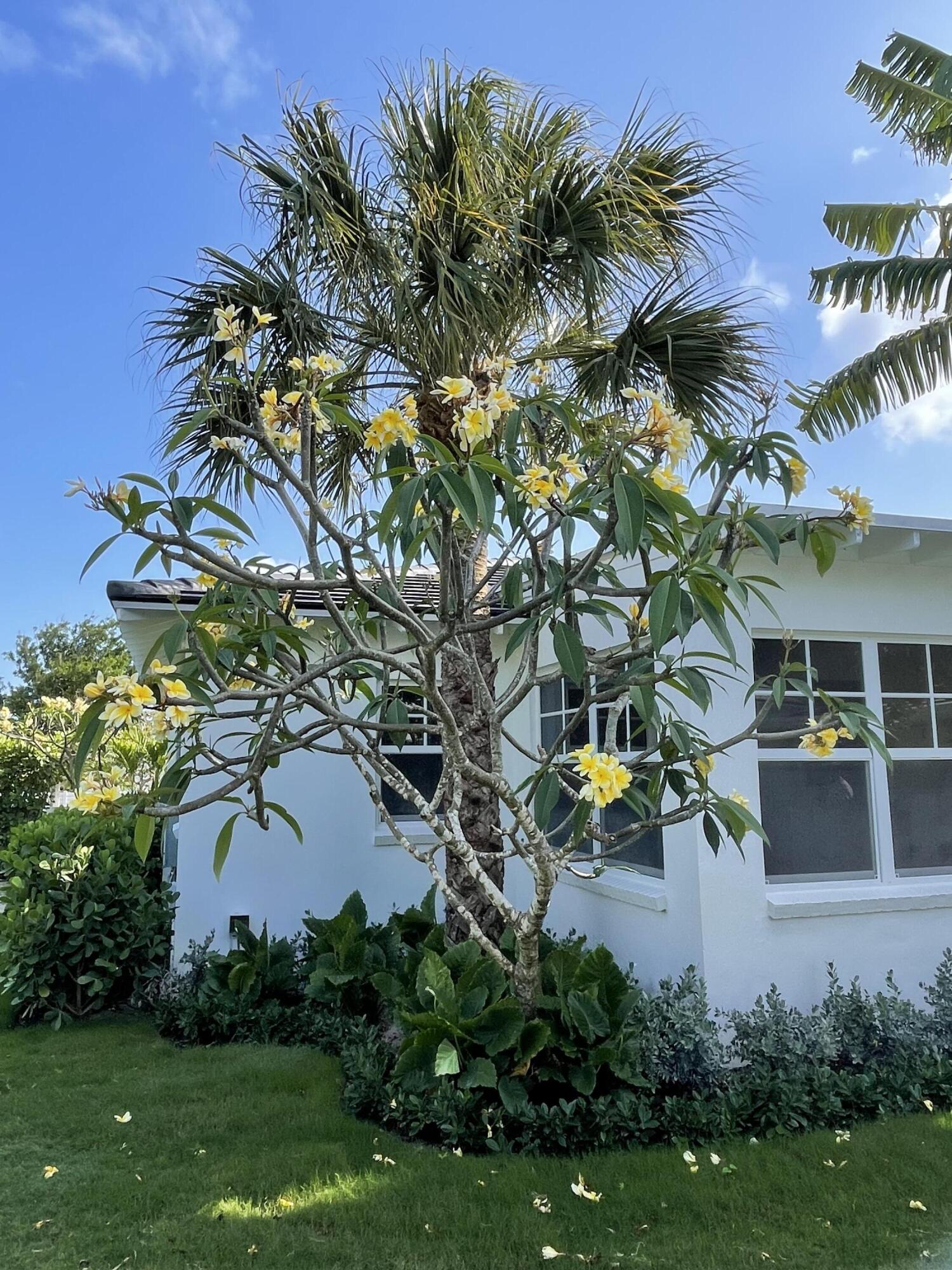 Sidewalks - Residential