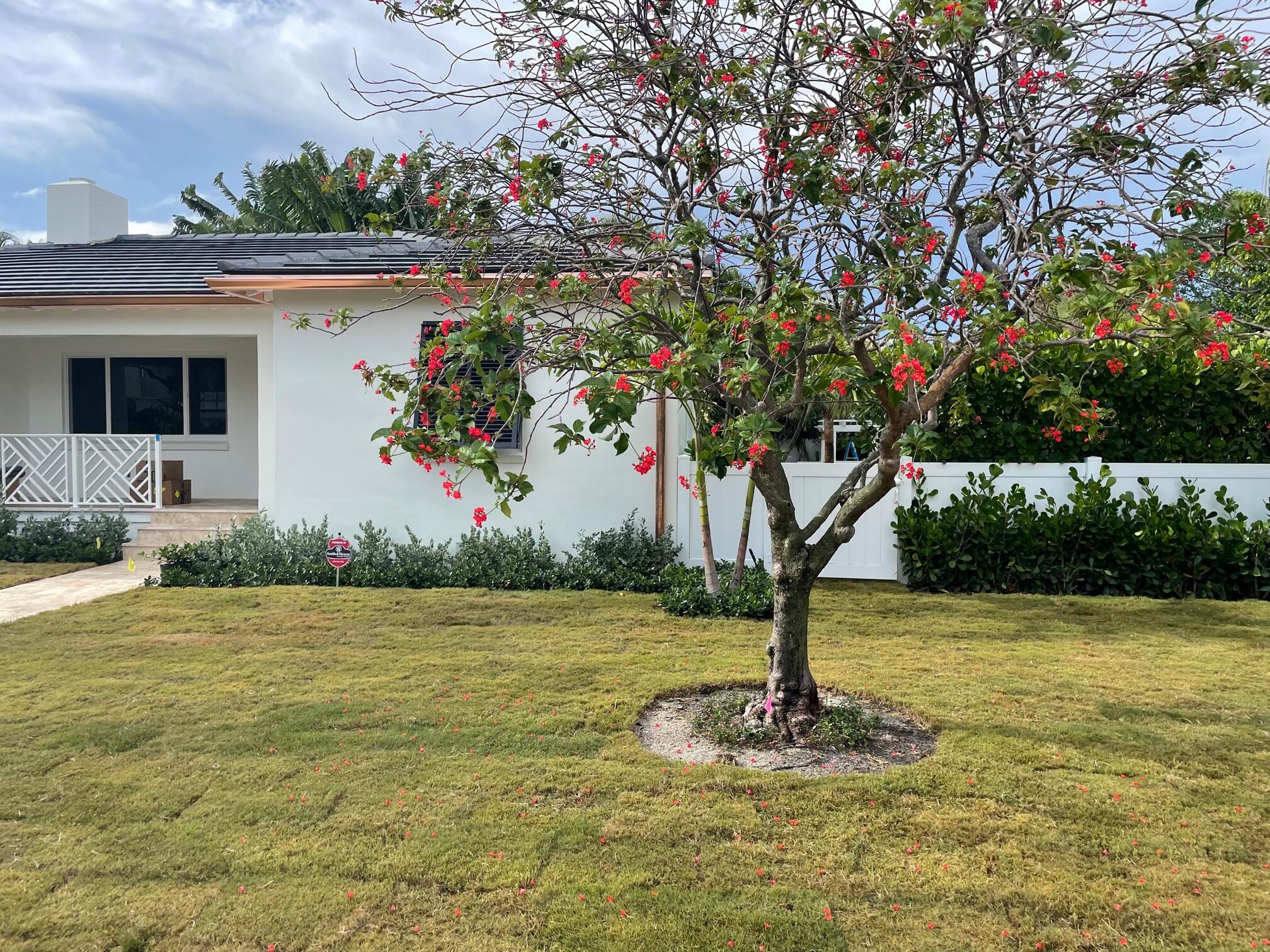 Sidewalks - Residential