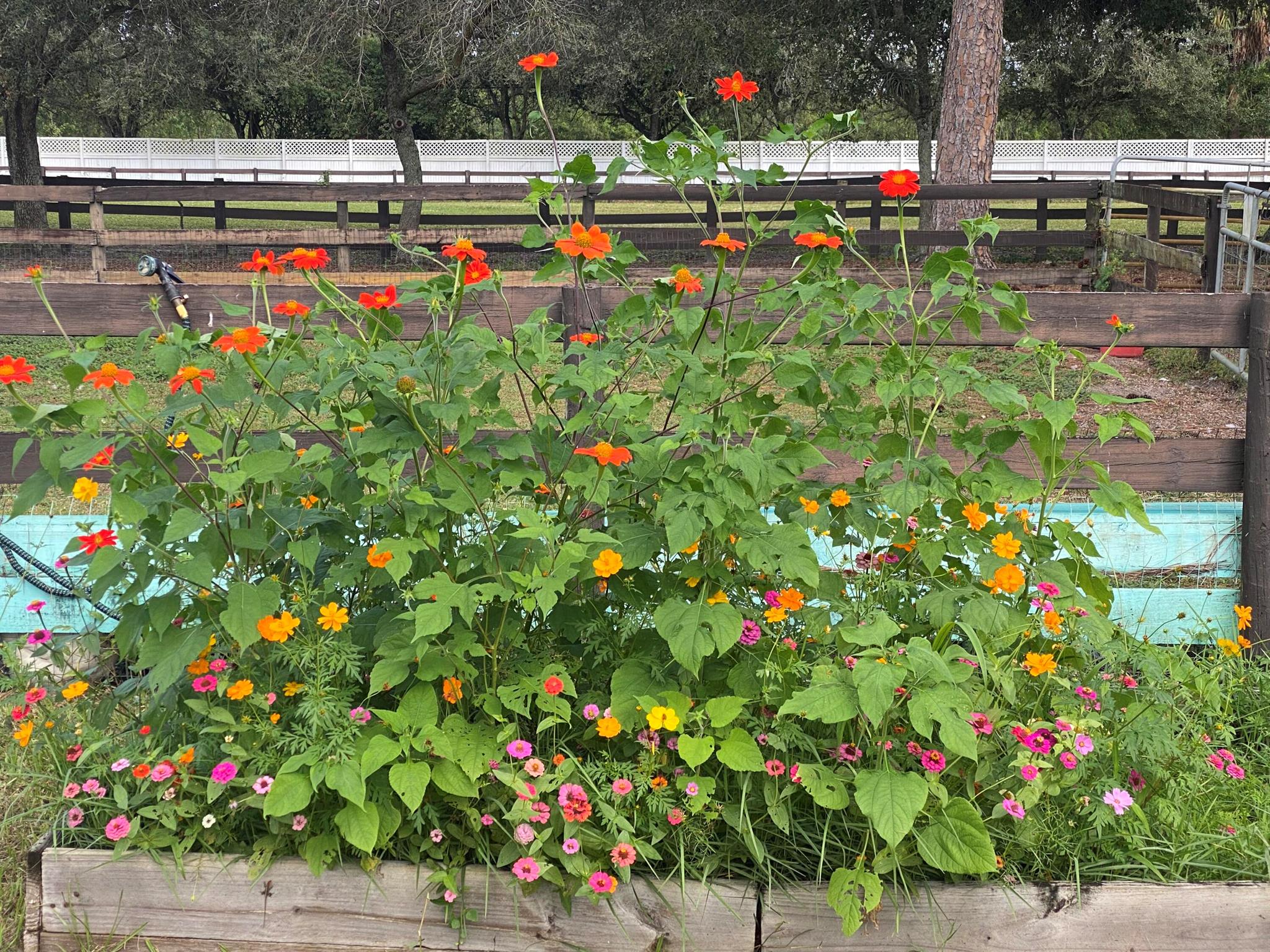 LOXAHATCHEE GROVES - Residential Lease