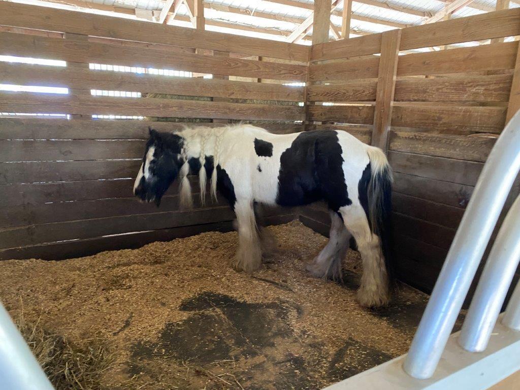 LOXAHATCHEE GROVES - Residential Lease