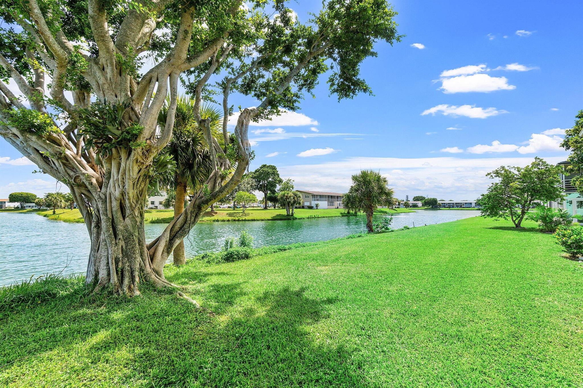 Enjoy relaxing water views from this clean and well-kept 2 bedroom condo in Century Village! This inviting home offers a light-filled layout and a peaceful setting overlooking the water. Whether you're looking for a seasonal retreat or a year-round residence, this condo is ready for you. Century Village is a 55+ community with resort-style amenities including a clubhouse, fitness center, pools, tennis, social activities, and courtesy shuttles. With a motivated seller and quick closing available, this is a great opportunity to own a lake view home in West Palm Beach!