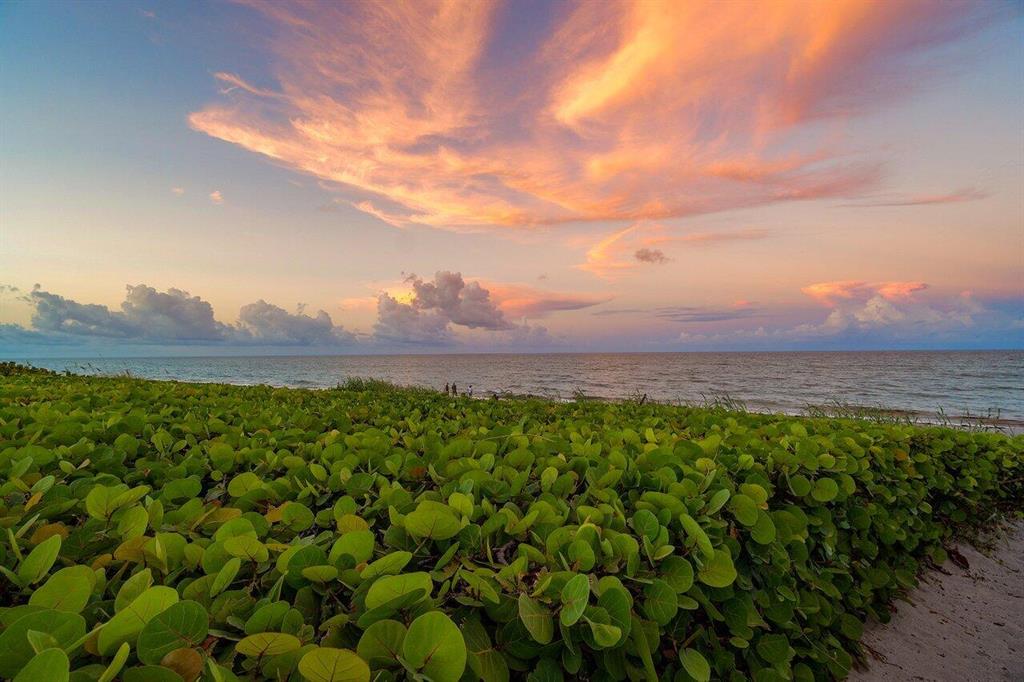 NYDAL Townhome - Residential