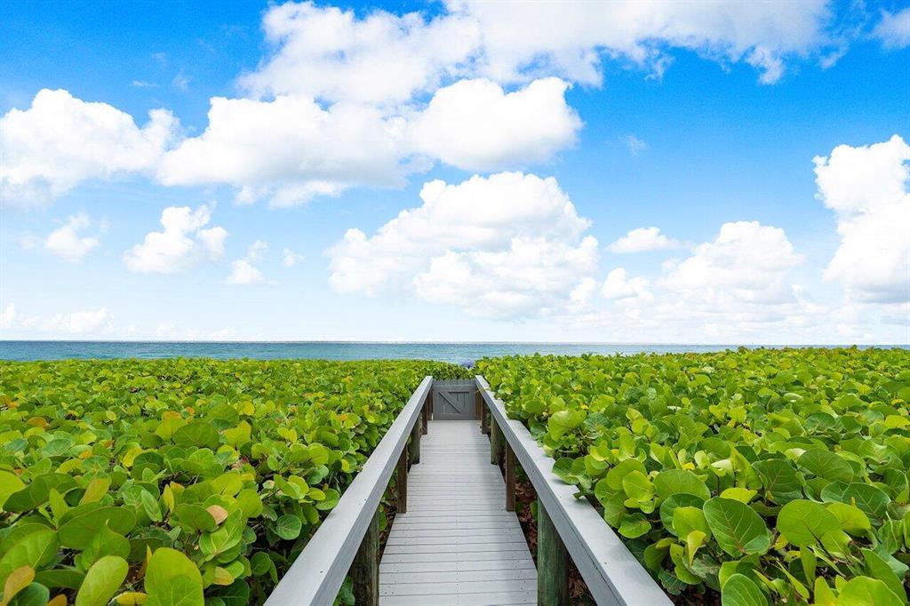 NYDAL Townhome - Residential