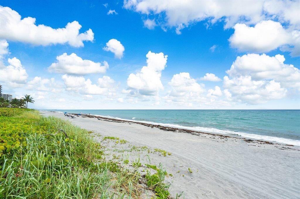 NYDAL Townhome - Residential