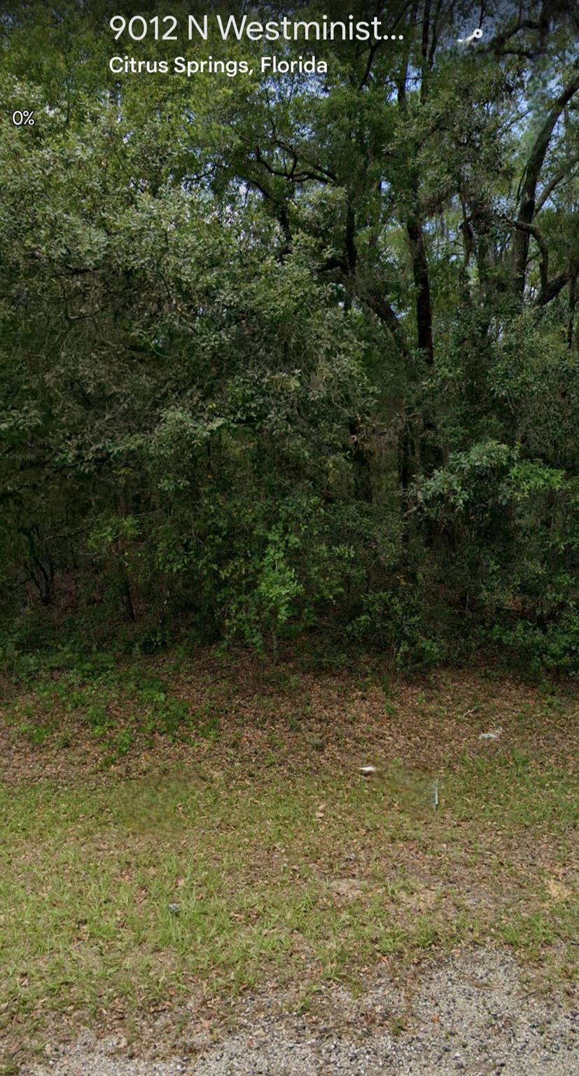 Affordable corner lot to build your dream home, close to community parks, golf course, bike trail with No HOA.