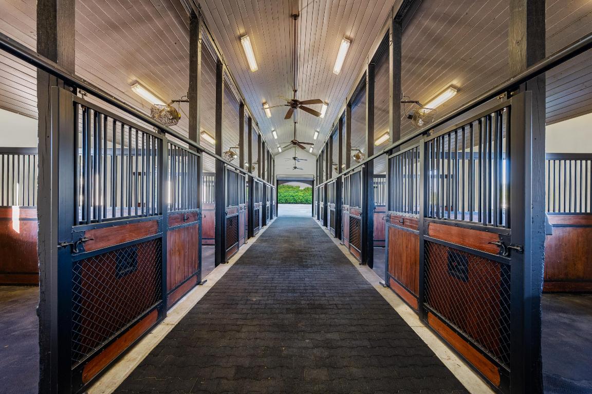 SADDLE TRAIL PARK OF WELLINGTON - Residential