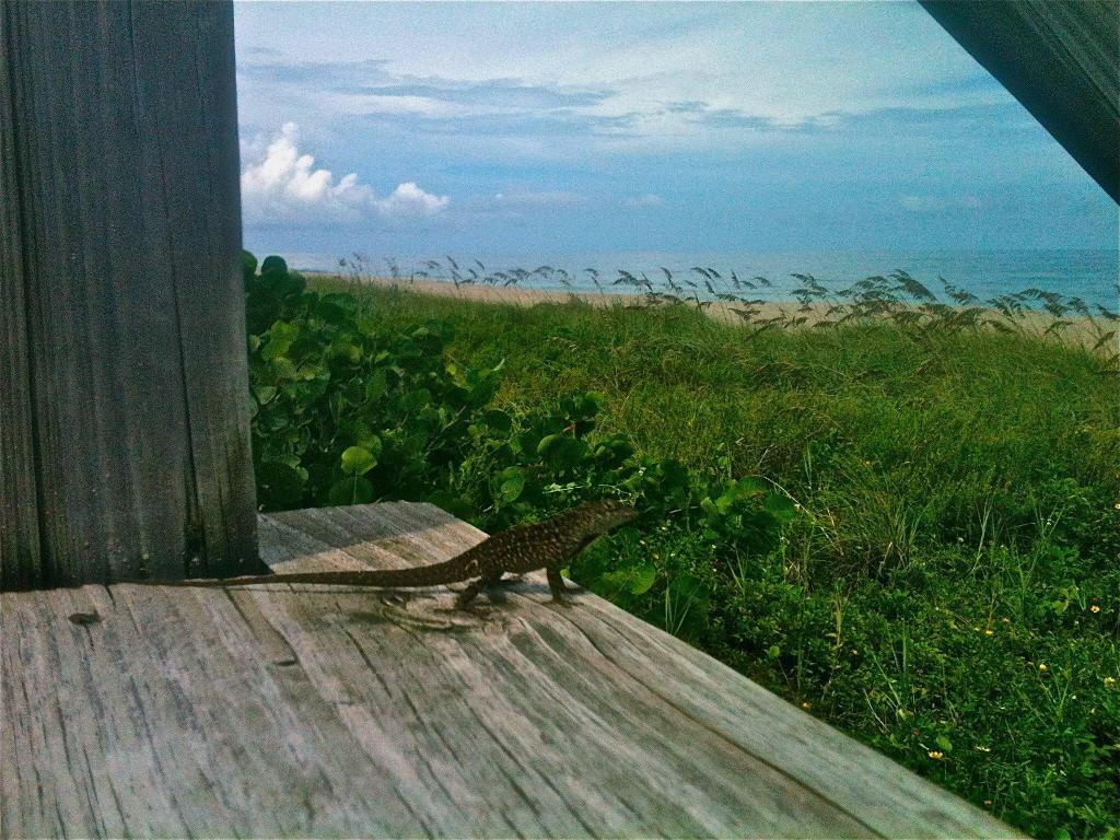 34953, Closest to Tradition off Crosstown, or Gatl - Land