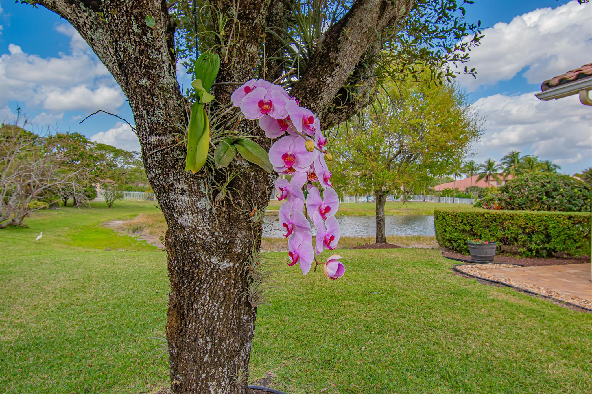 ISLES AT WELLINGTON 8 - Residential