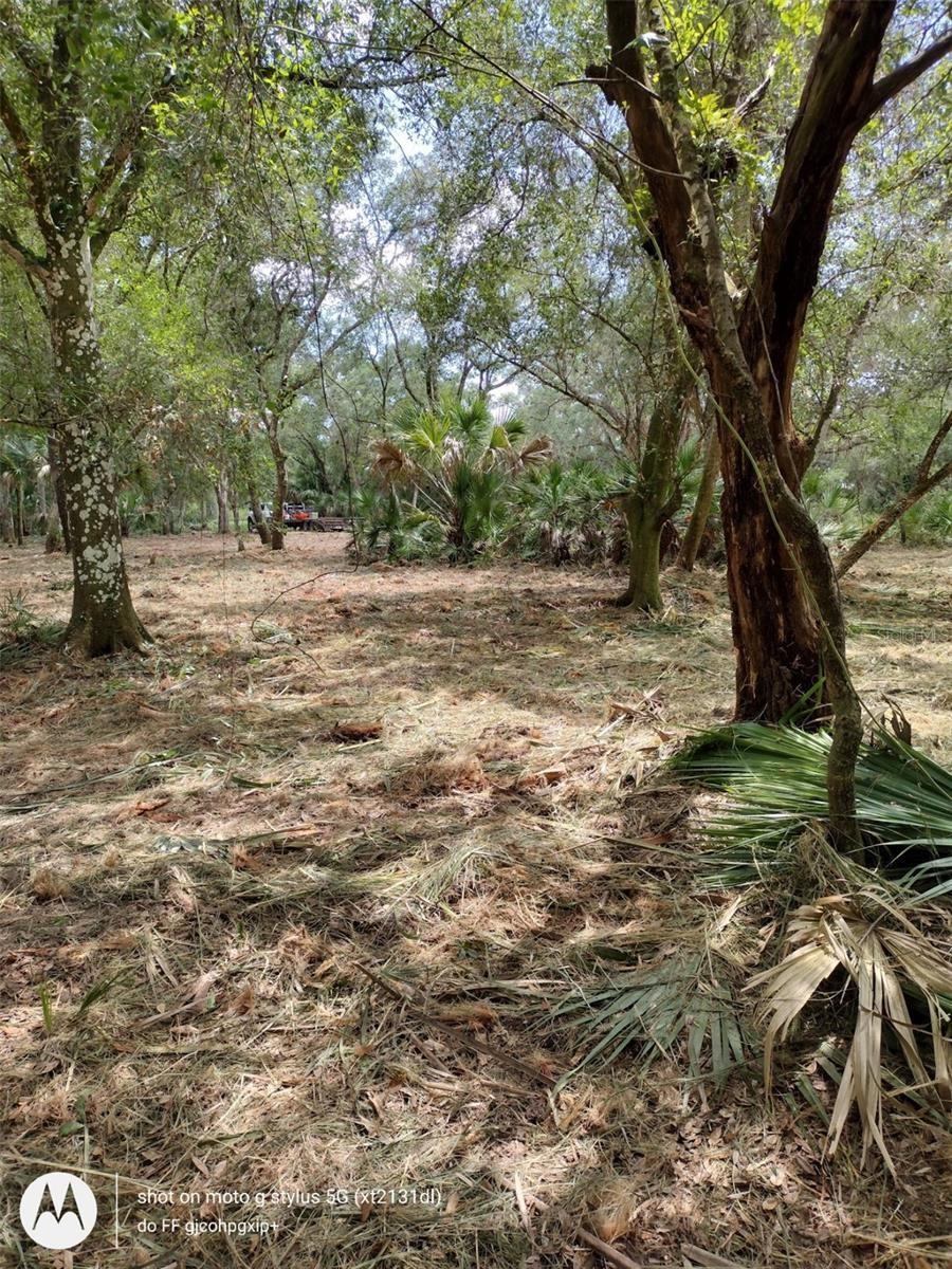 Great place to build your dream house under the majestic oaks on the property. The lot is on a quiet road with a power pole located in front of the lot. The lot has been cleared under the trees and a new driveway installed