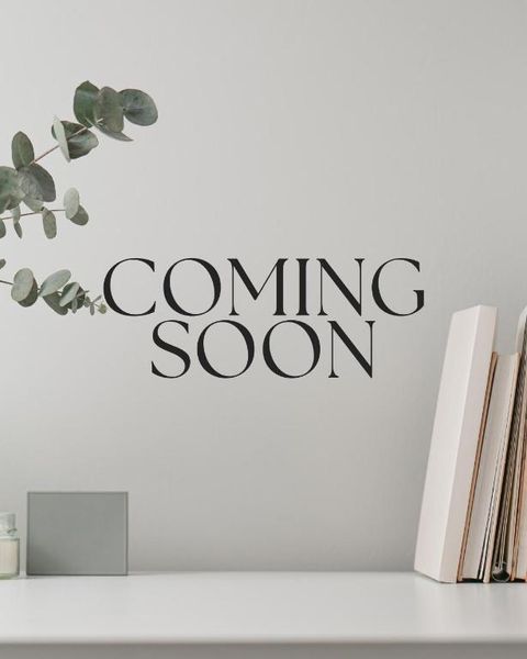 Palm Beach County Coming Soon 85 618 Sea Pine Way A2 Greenacres FL 33415