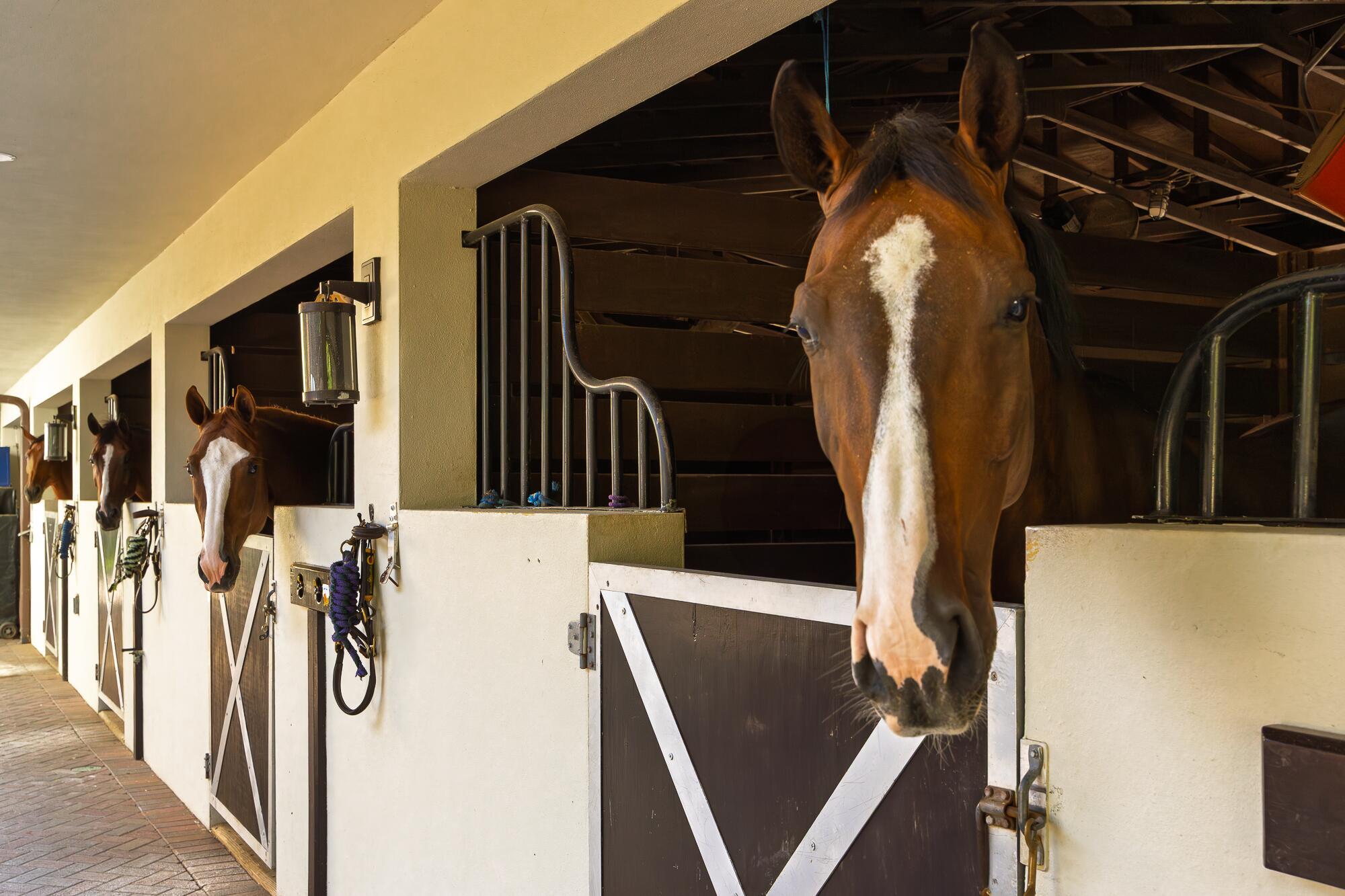 LAS PALMAS EQUESTRIAN - Residential Lease