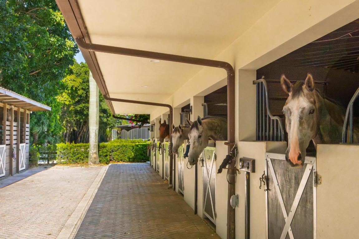 LAS PALMAS EQUESTRIAN - Land