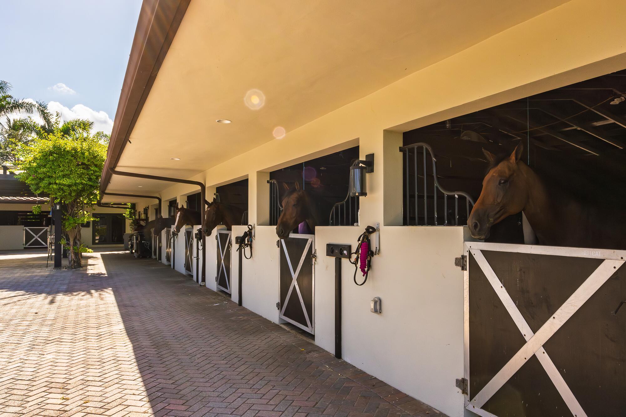 LAS PALMAS EQUESTRIAN - Residential Lease