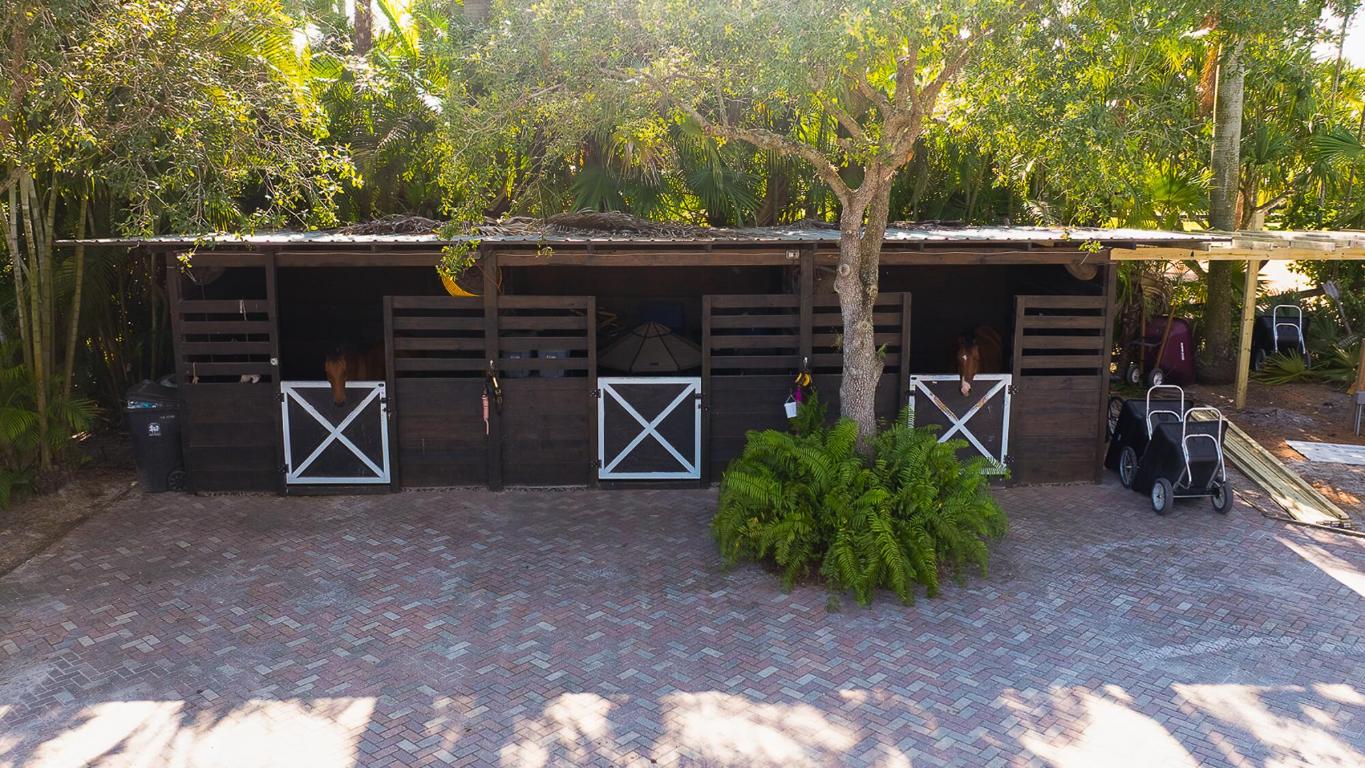 LAS PALMAS EQUESTRIAN - Land