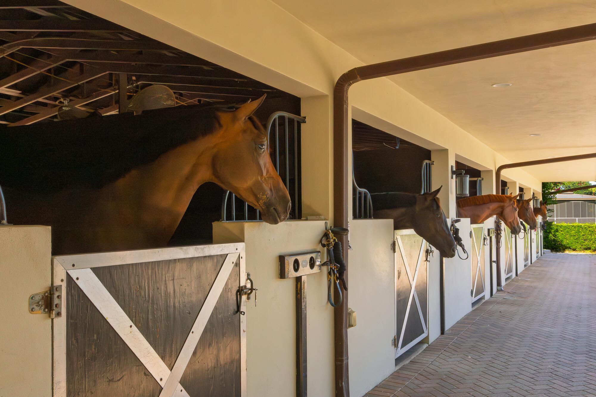 LAS PALMAS EQUESTRIAN - Residential Lease