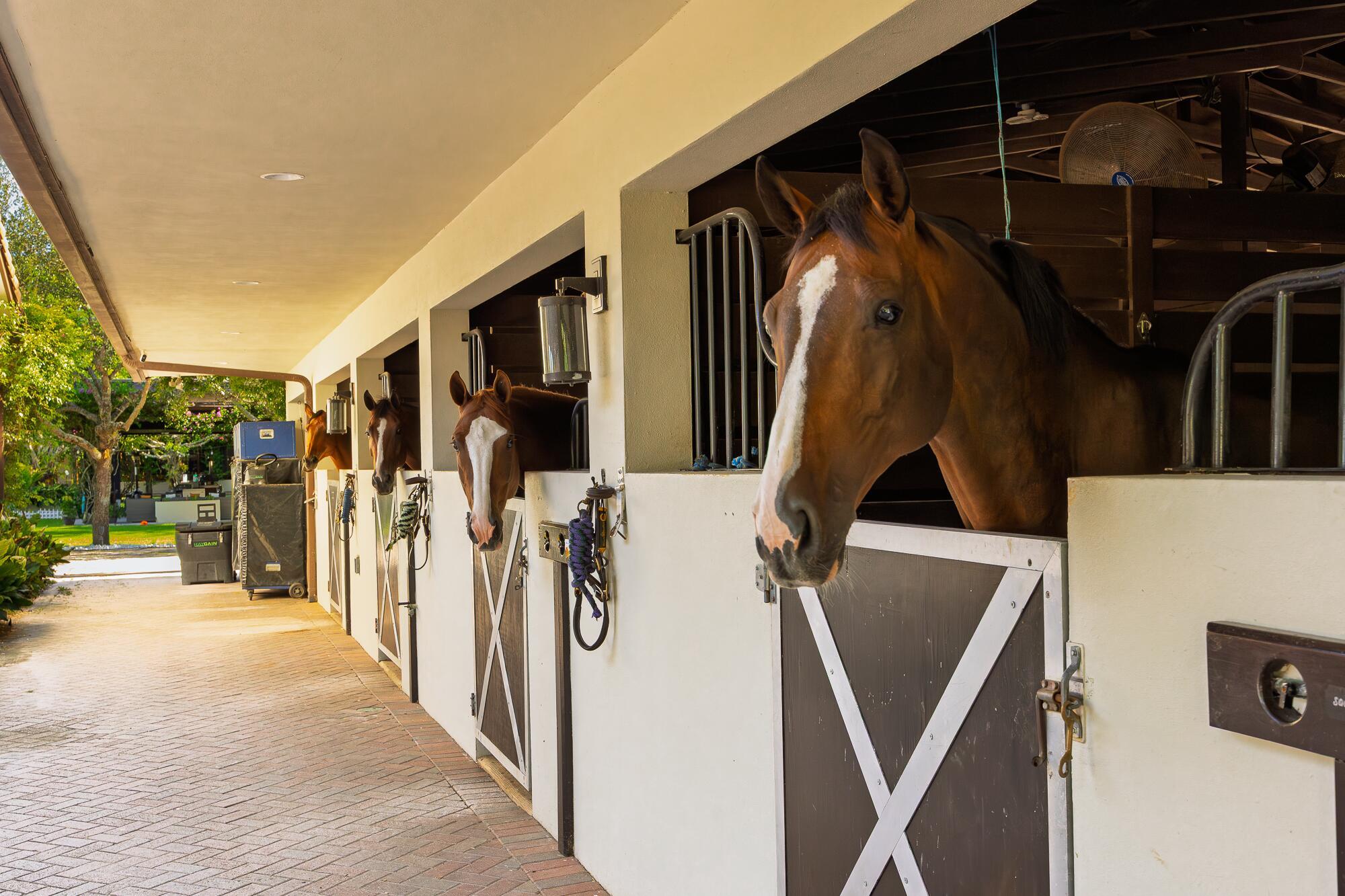 LAS PALMAS EQUESTRIAN - Residential Lease